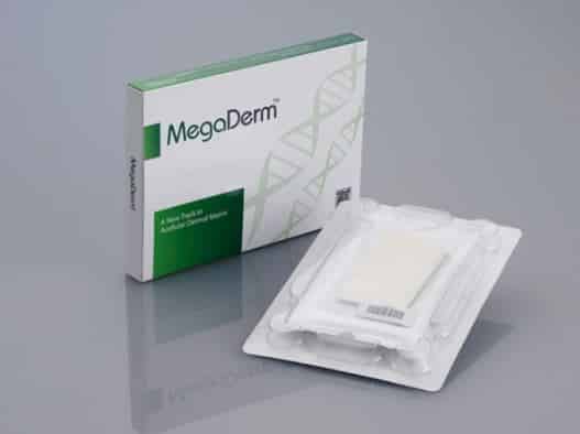 Miếng độn sinh học megaderm